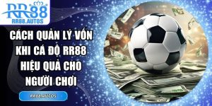 Cách Quản Lý Vốn Khi Cá Độ RR88 Hiệu Quả Cho Người Chơi