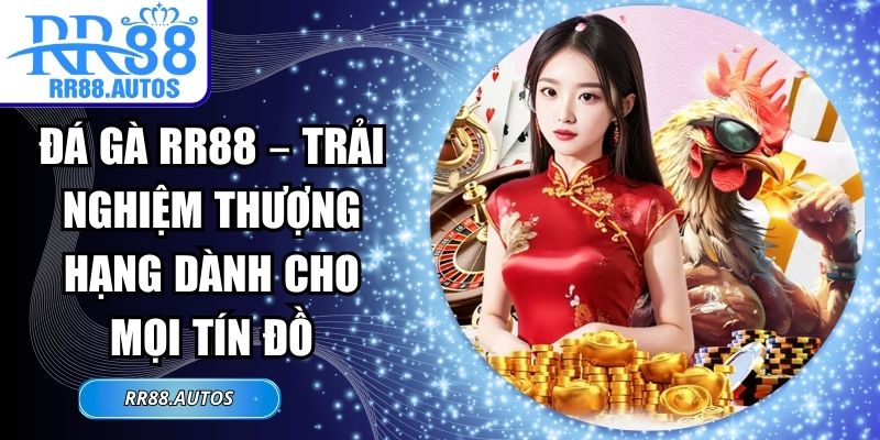 Đá Gà RR88 – Trải Nghiệm Thượng Hạng Dành Cho Mọi Tín Đồ