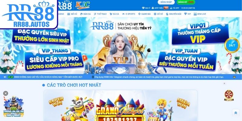 Trải nghiệm người dùng hiểu rõ RR88 lừa đảo không?